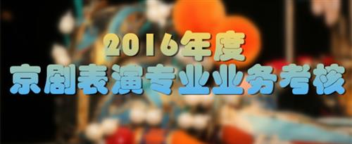 69xx黄操国家京剧院2016年度京剧表演专业业务考...